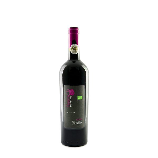 vino_auso_tenute_del_fasanella_formaggi_e_salumi_carucci