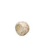 Pecorino_peperoncino_2_formaggi_e_salumi_carucci