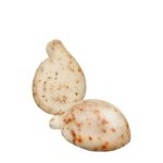 caciocavallo_al_peperoncino_formaggi_e_salumi_carucci