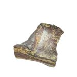 pancetta_intera_tesa__intera_formaggi_e_salumi_carucci