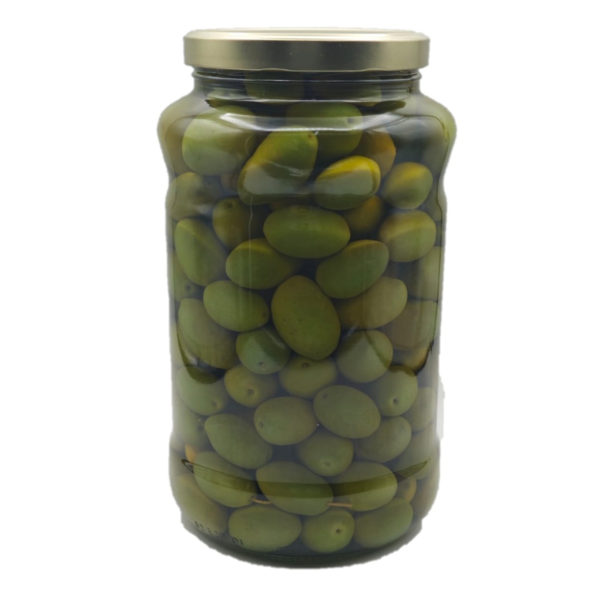 OLIVE 3100