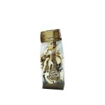 porcini_secchi_50gr_formaggi_e_salumi_carucci