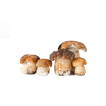 porcini_sott_olio_immagine_base_formaggiesalumicarucci