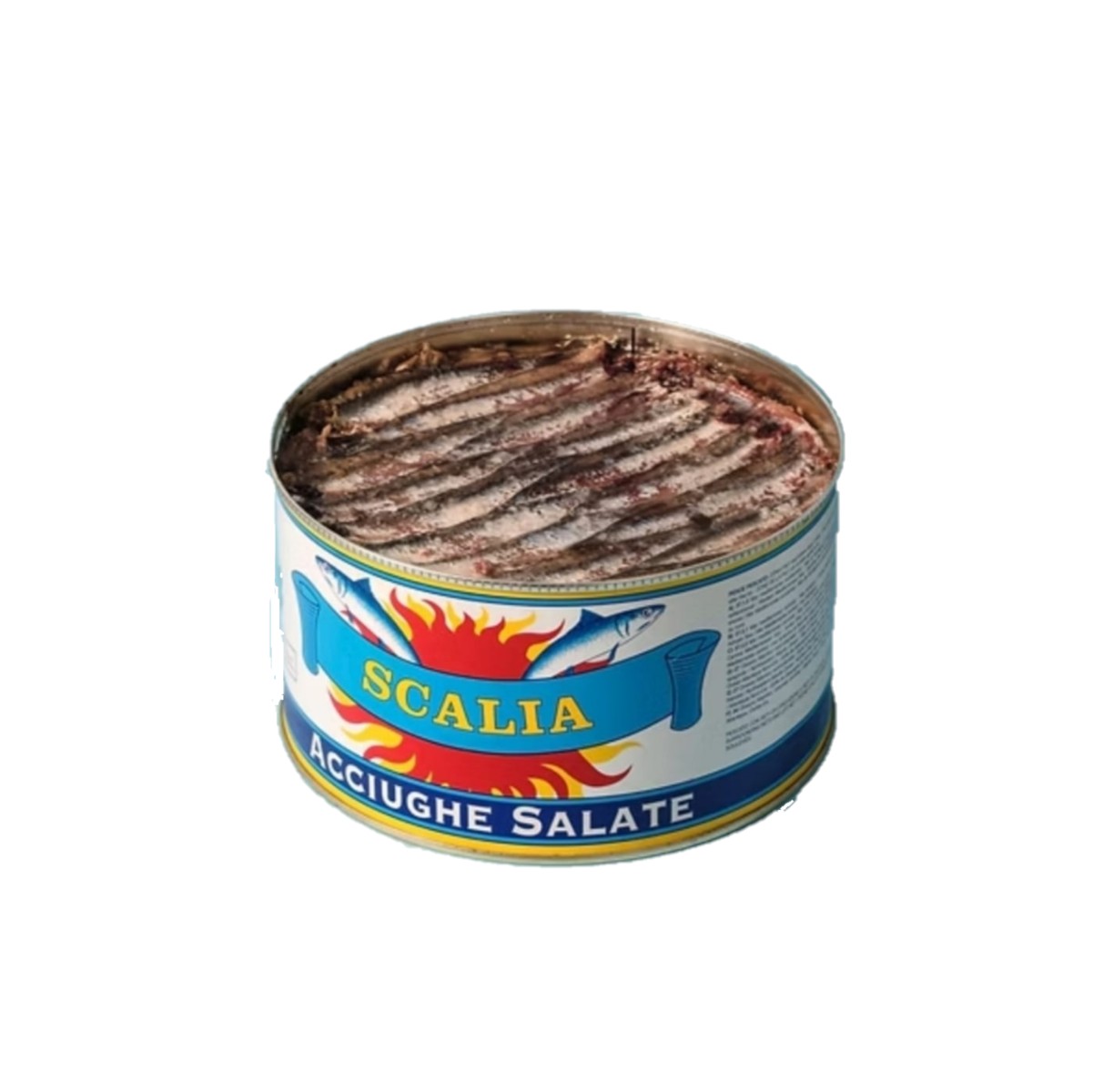 alici sotto sale 3