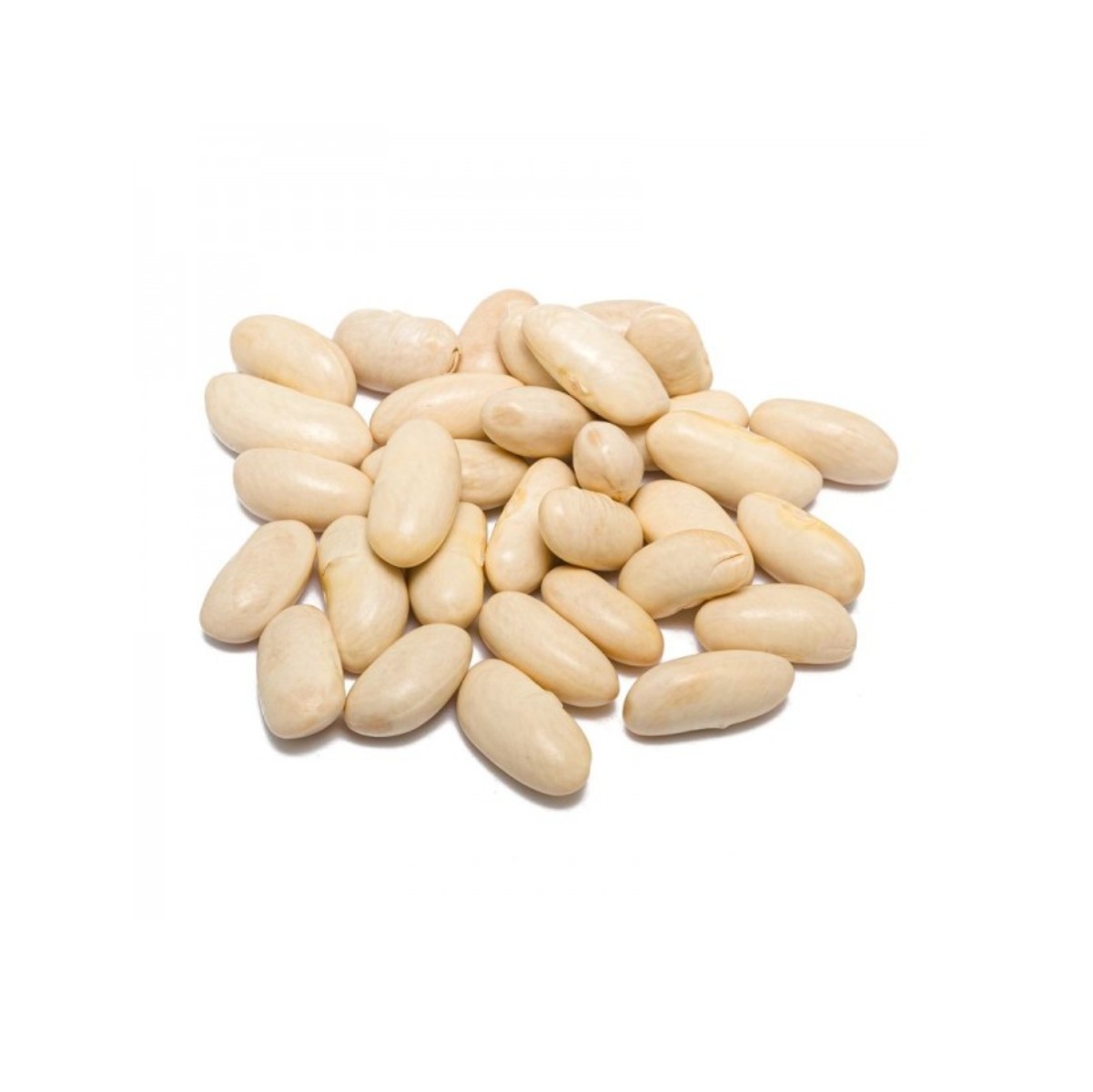 cannellini