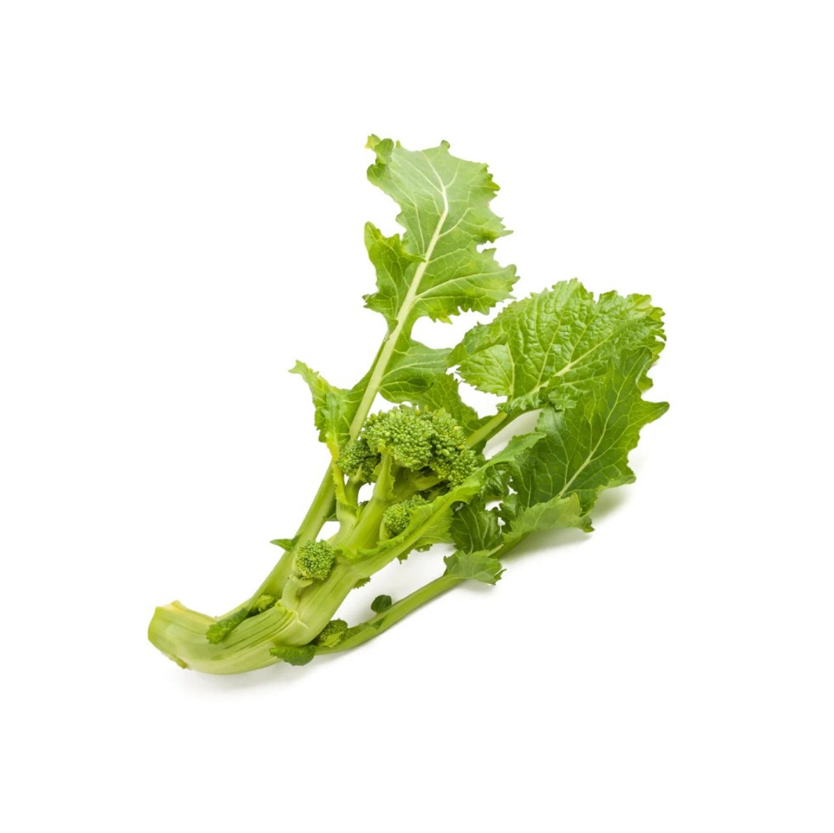 cime di rapa foglia