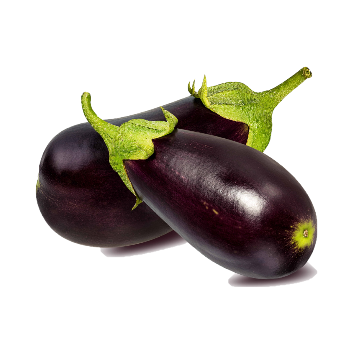 melanzana immagine