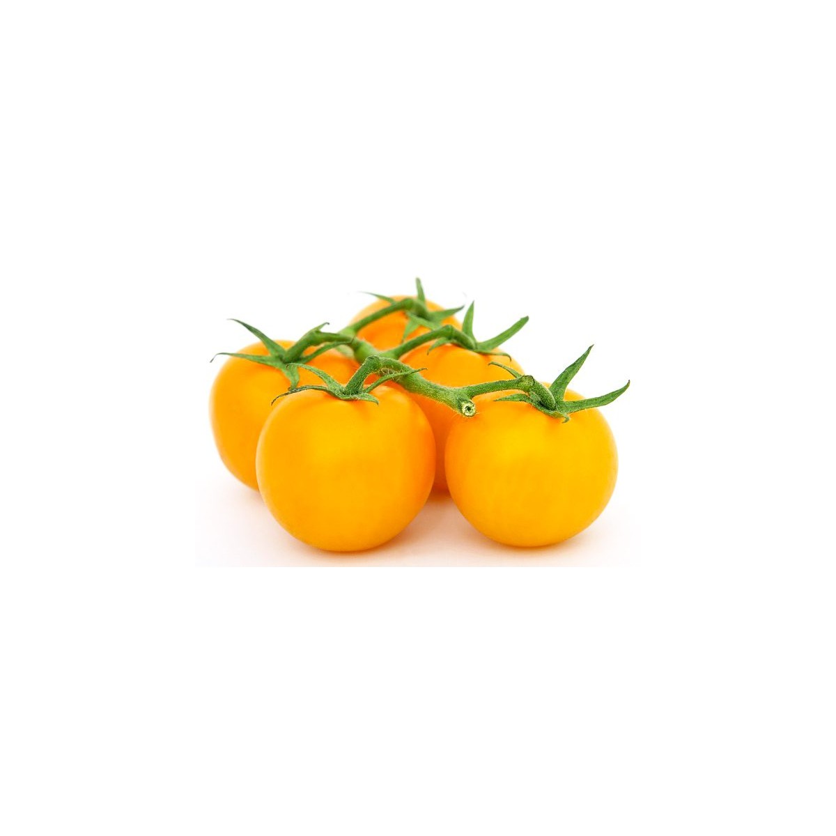 pomodorino giallo