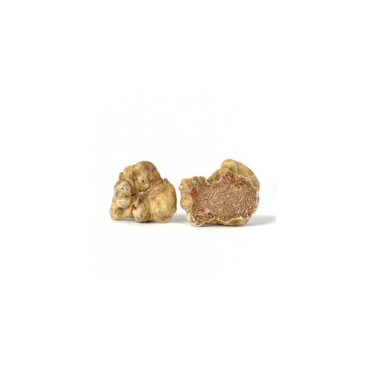 tartufo bianco1