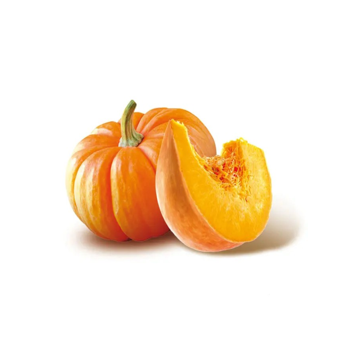 zucca 2